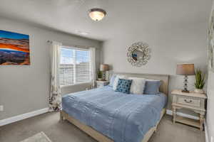 Bedroom with light colored carpet