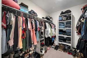 Spacious closet featuring carpet