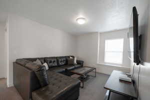 Living room with carpet and a textured ceiling