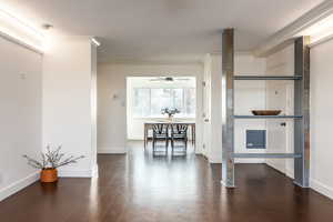 Interior space featuring ceiling fan, dark hardwood / wood-style flooring, and ornamental molding