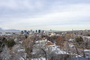 City view with a mountain view