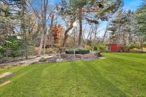 View of yard with a storage unit