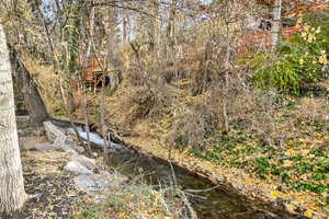 View of nature