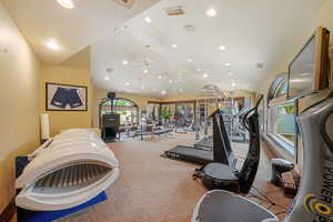 Workout area featuring carpet, ceiling fan, and high vaulted ceiling