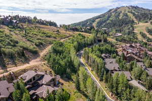 Drone / aerial view featuring a mountain view