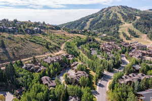 Drone / aerial view with a mountain view