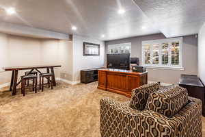 Carpeted office with a textured ceiling