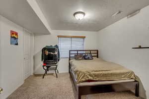 Carpeted bedroom with a textured ceiling