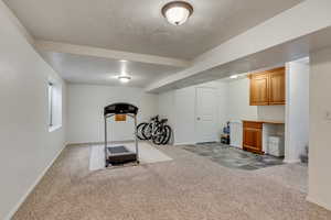 Workout area with carpet flooring