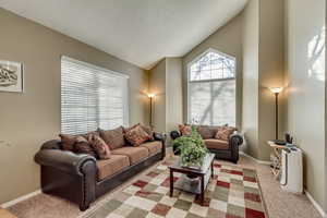 Carpeted living room with lofted ceiling