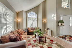 Carpeted living room with high vaulted ceiling