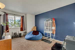 Bedroom with carpet flooring