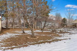 View of snowy yard