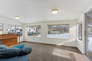 Living area with a textured ceiling, carpet floors, and a healthy amount of sunlight