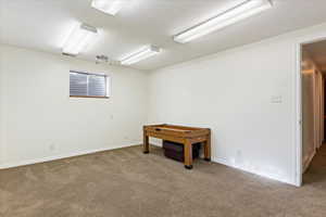 Interior space featuring carpet floors and a textured ceiling