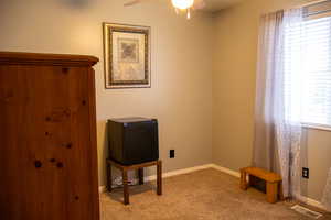 Miscellaneous room with ceiling fan, plenty of natural light, and light colored carpet