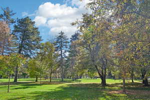 View of community with a yard