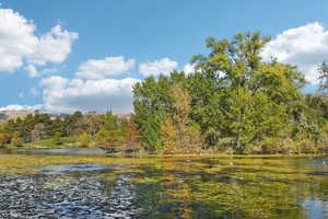 View of water feature