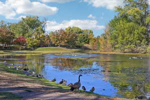 View of water feature