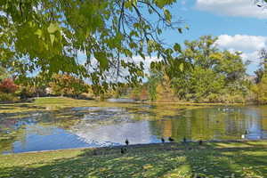 View of water feature