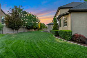 View of yard at dusk