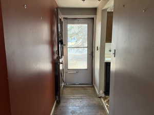 Entryway featuring dark hardwood / wood-style flooring