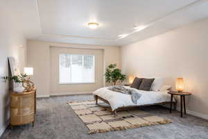 Carpeted bedroom featuring a raised ceiling