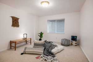 Sitting room featuring carpet floors