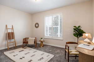 Living area featuring dark colored carpet