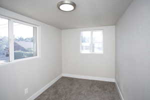 Unfurnished room featuring carpet flooring and a textured ceiling