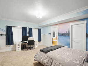 Carpeted bedroom with crown molding and ensuite bath