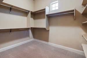 Spacious closet featuring carpet