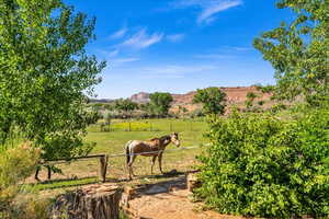 View of yard featuring a mountain view and a rural view