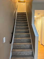 Stairs with plush carpeting