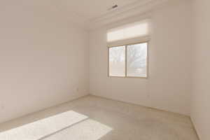 Spare room featuring carpet and ornamental molding