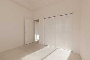 Unfurnished bedroom featuring carpet floors, a tray ceiling, and a closet