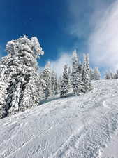 Powder Mountain in winter.