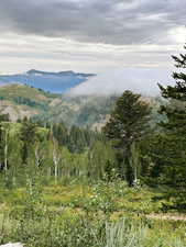 Powder Mountain in early summer.