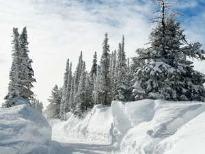 Powder Mountain in winter.