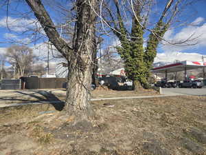 View of yard featuring a carport