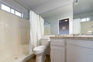 Primary bathroom featuring a shower with curtain, plenty of natural light, toilet, and vanity