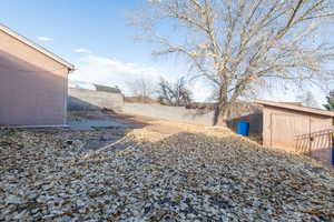 View of back yard