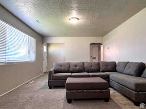 Living room with carpet flooring and a textured ceiling