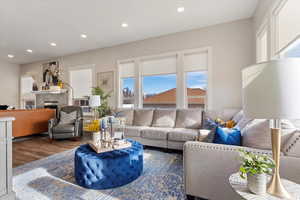 Living room featuring dark wood-type flooring