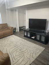 Living room featuring dark wood-type flooring