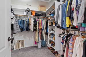 Walk in closet with carpet flooring