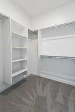 Spacious closet with dark colored carpet