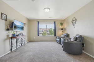 Living area with carpet