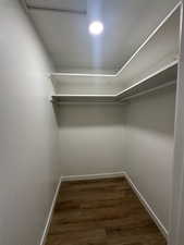 Spacious closet with dark wood-type flooring