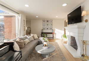 Living room featuring light hardwood / wood-style flooring